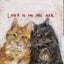 可可薑紅茶菌 Love is in the Air | Taboocha