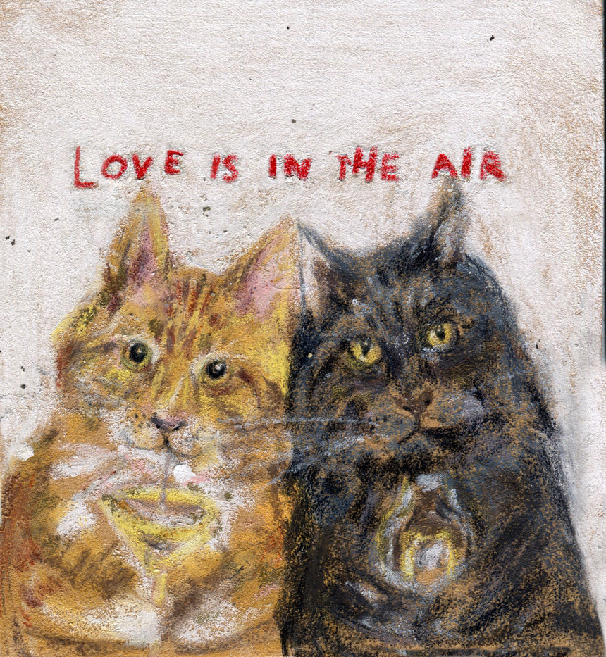 可可薑紅茶菌 Love is in the Air | Taboocha